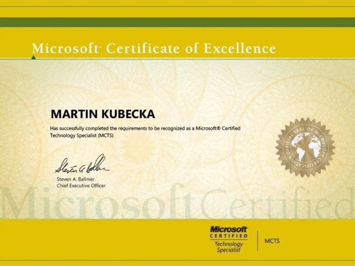 Microsoft Certified Technology Specialist 2010