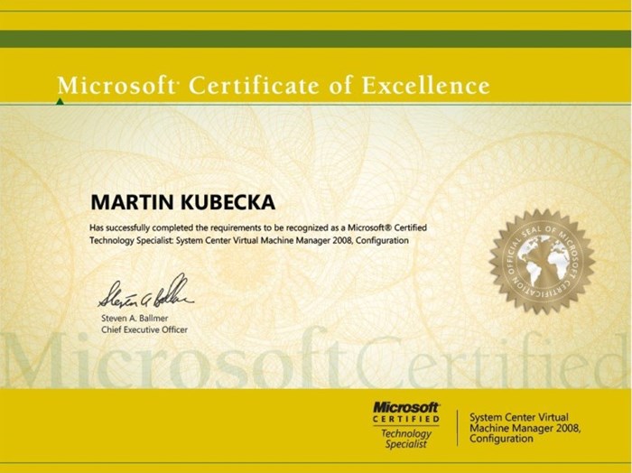Microsoft System Center, Virtual Machine Manager 2010
