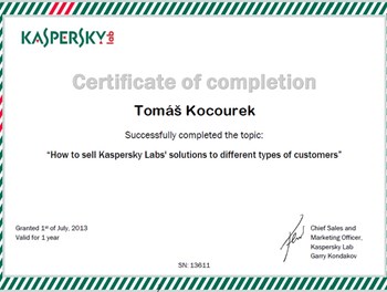 Kaspersky Labs Solutions for customers 2013