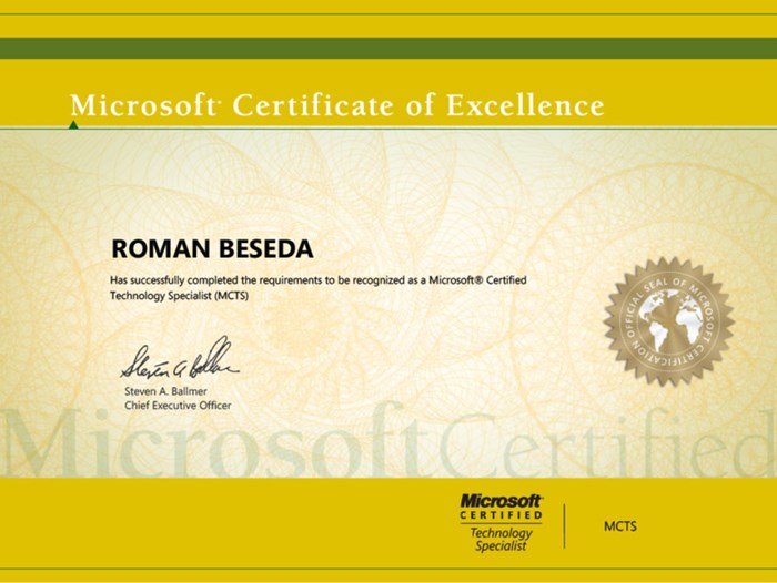 Microsoft Certified Technology Specialist 2009