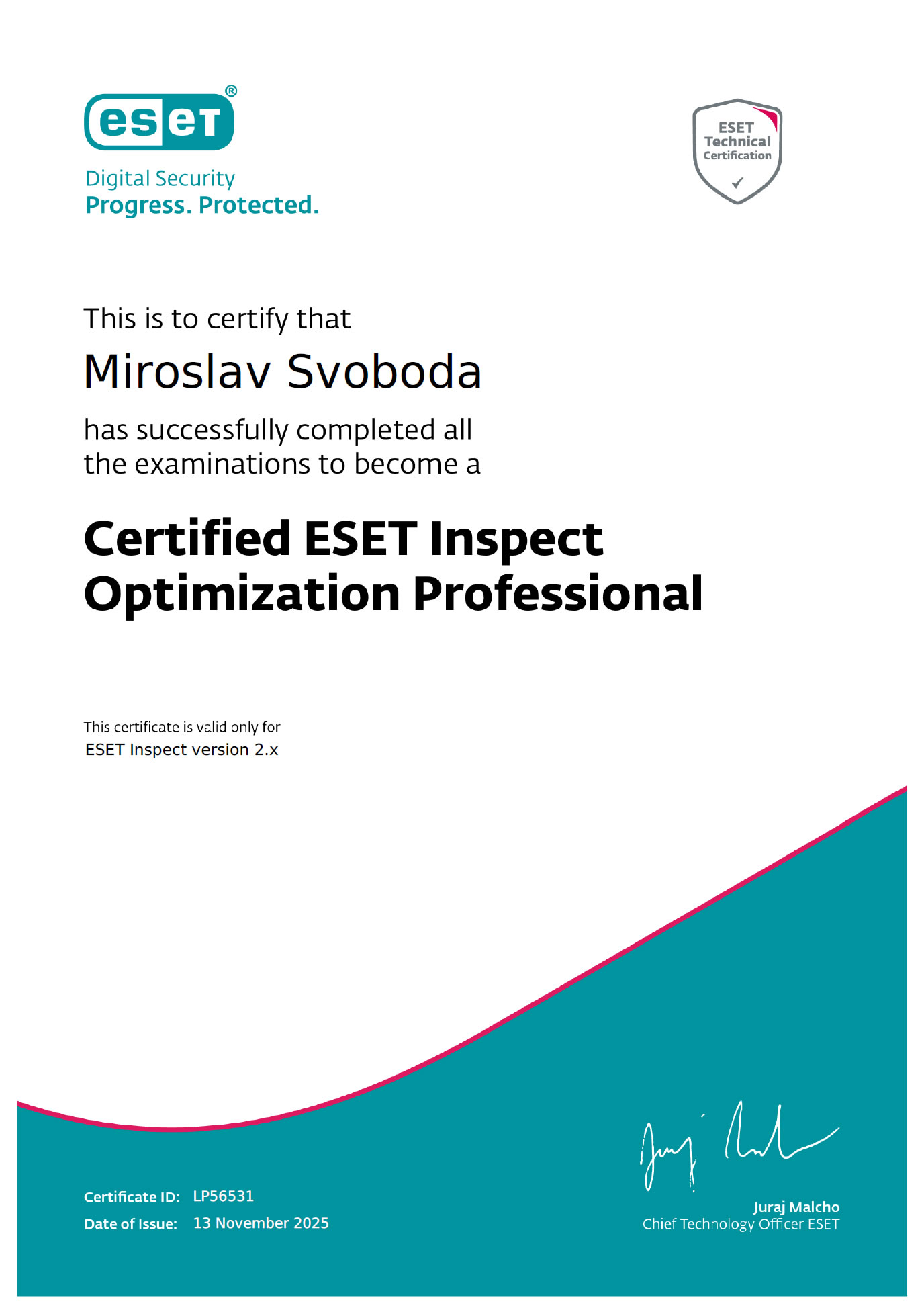 ESET Inspect Optimization Professional 2025