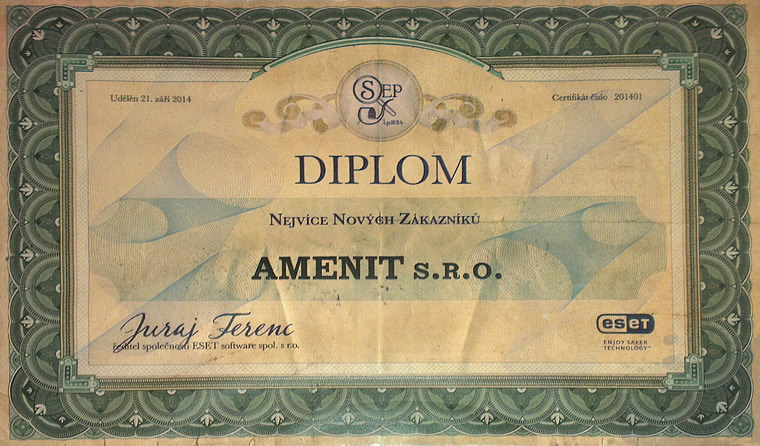 ESET Top Partner 2013