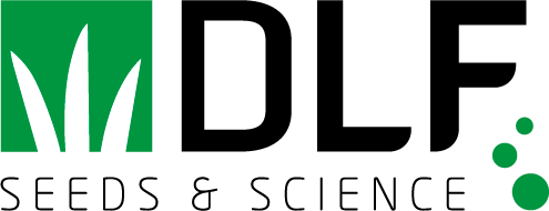 DLF